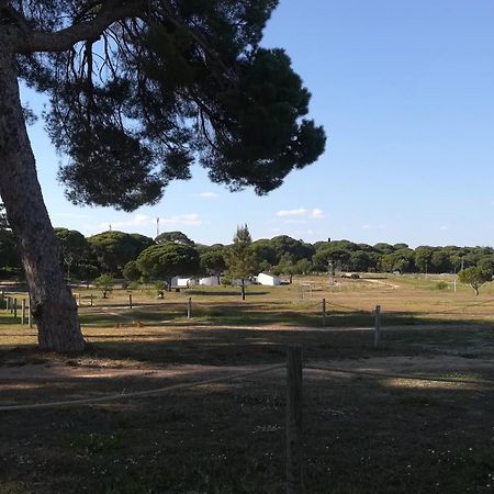 Beach Falesia Albufeira Luaran gambar