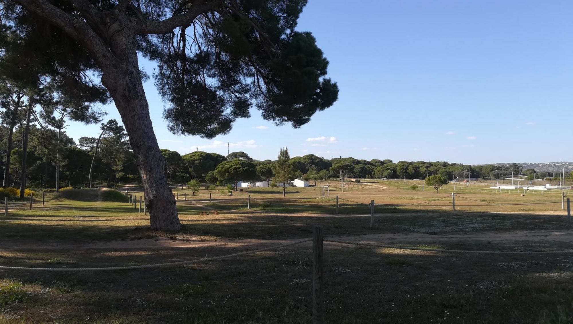 Beach Falesia Albufeira Luaran gambar